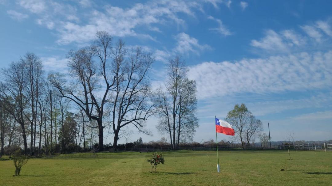 Photo of Others in Araucania Region