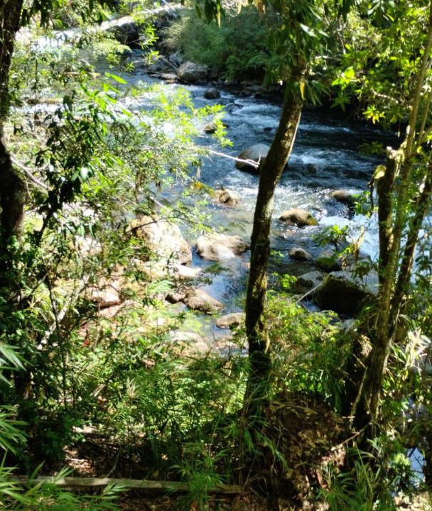 Photo of Others in Pucon