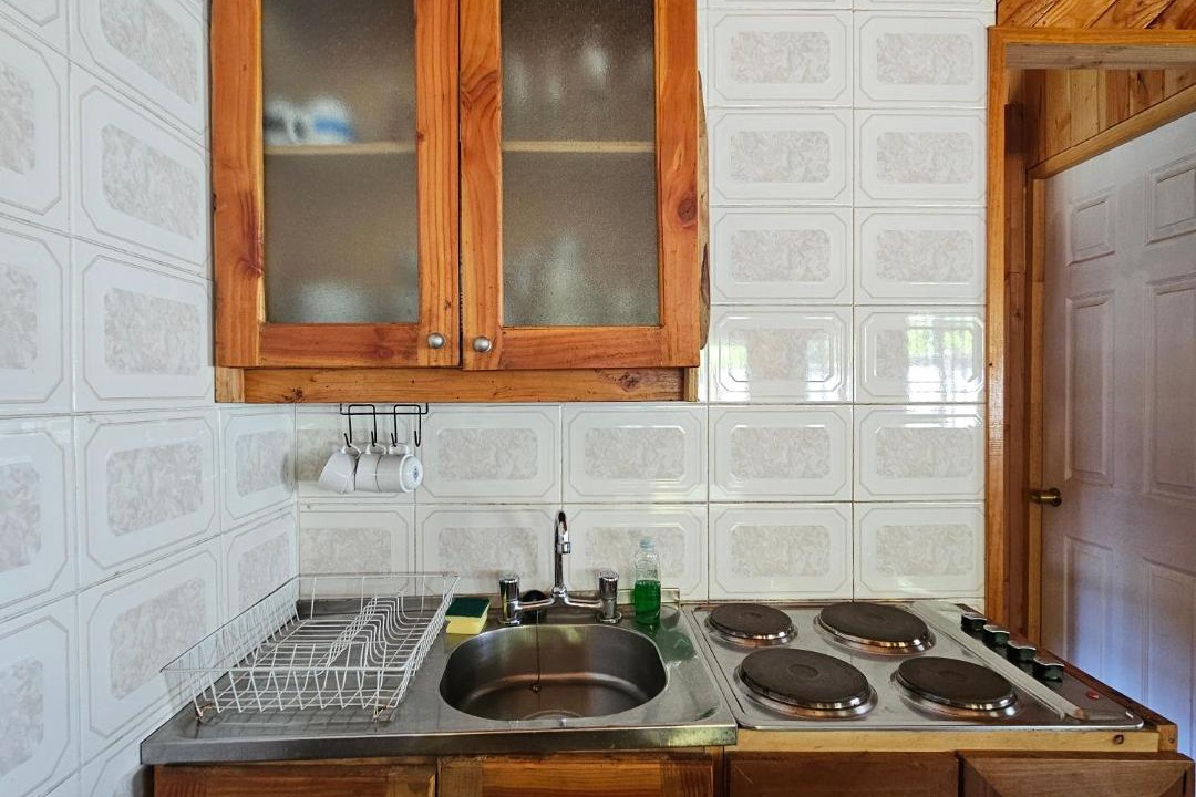 Photo of Kitchen in Lican Ray