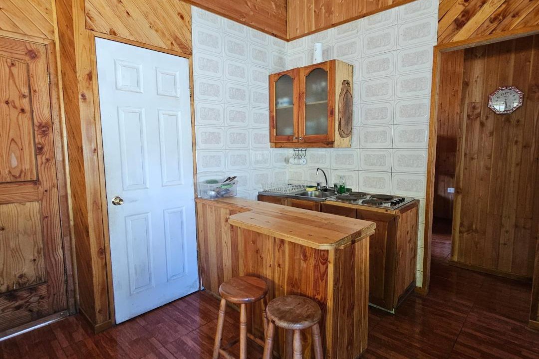 Photo of Kitchen in Lican Ray