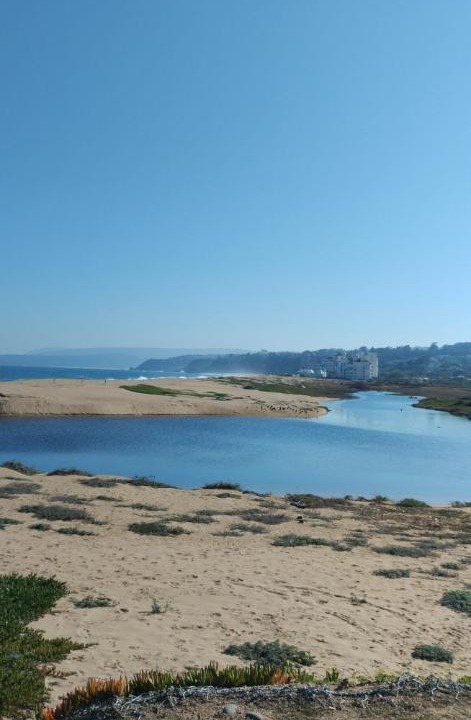 Photo of Others in Algarrobo