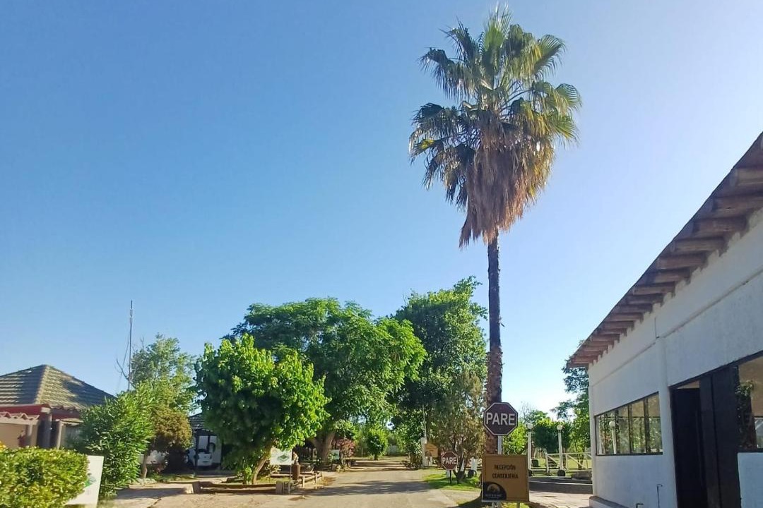Photo of Others in Mendoza