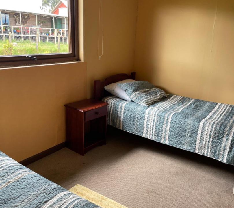 Photo of Others in Puerto Montt