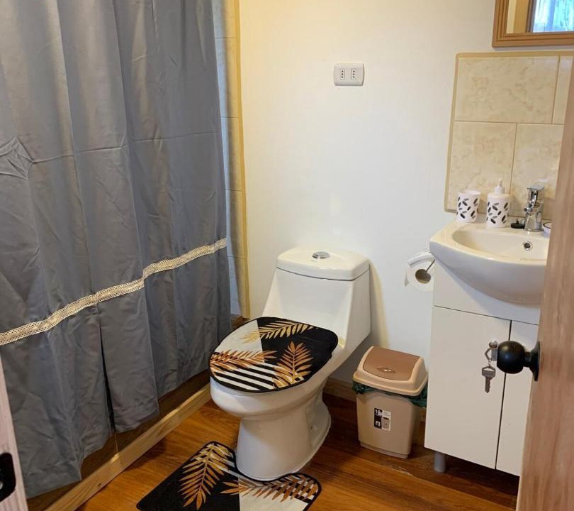 Photo of Bathroom in Frutillar