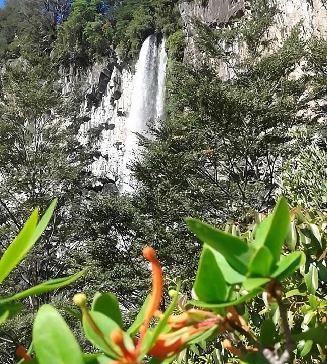 Photo of Outdoor in Curarrehue