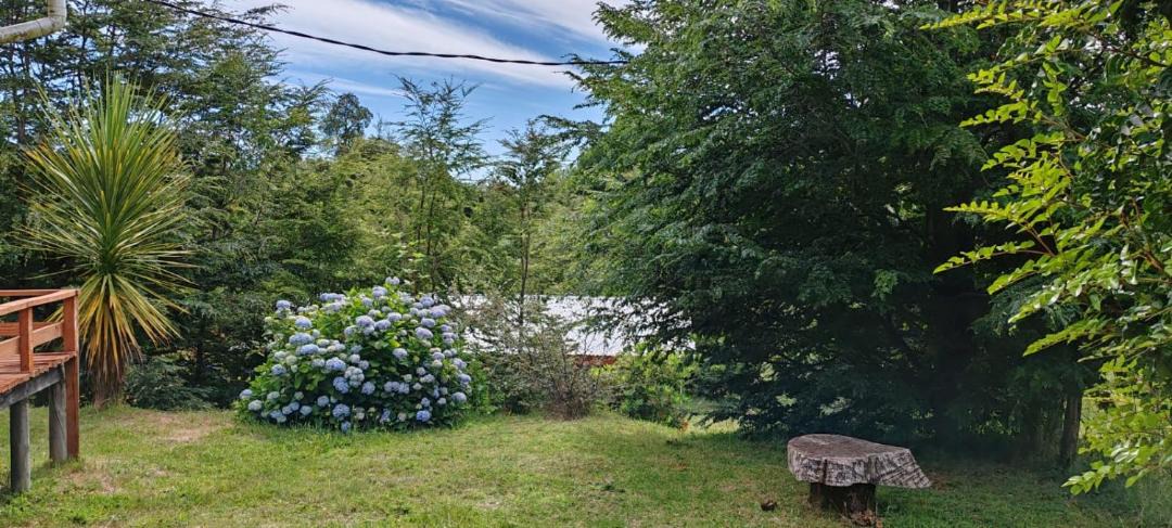 Photo of Others in Panguipulli