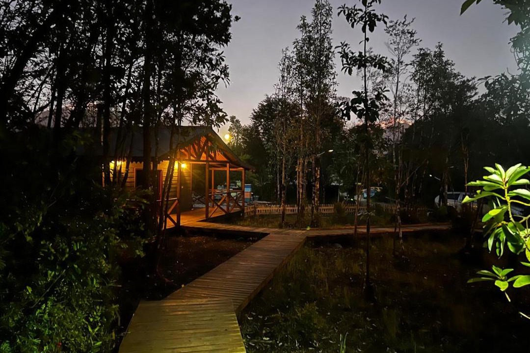 Photo of Others in Hornopiren National Park