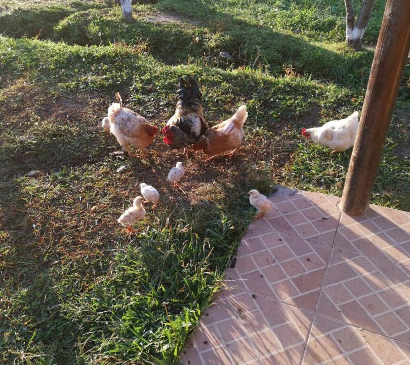 Photo of Outdoor in Molina