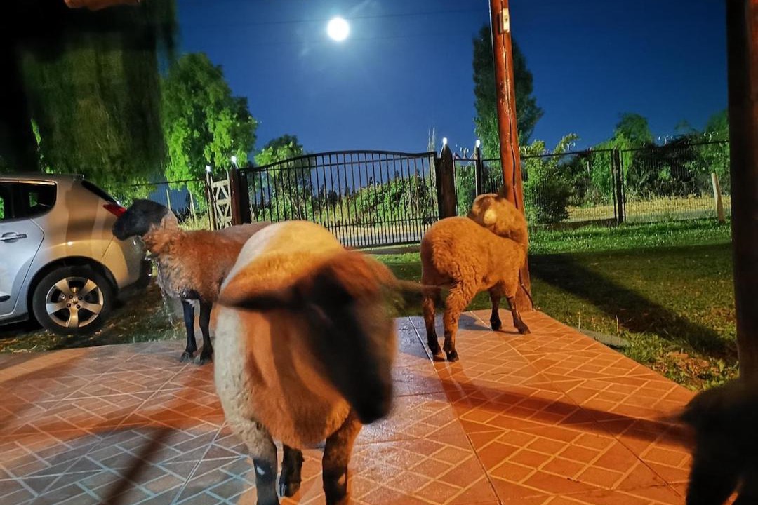Photo of Others in Molina