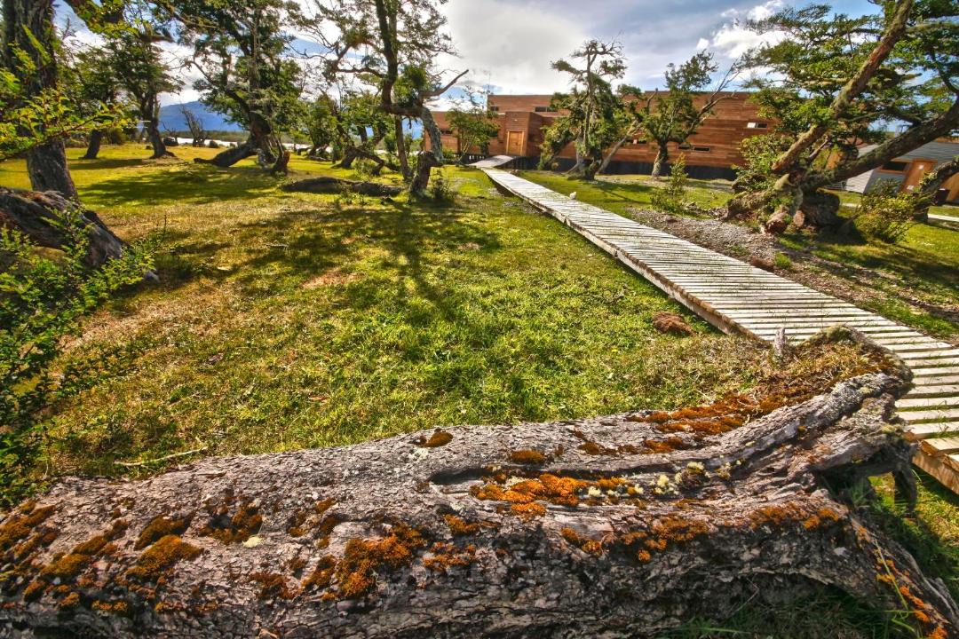 Photo of Others in Torres Del Paine