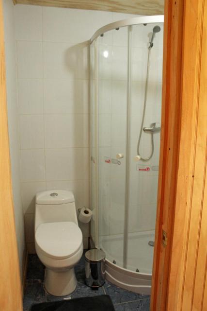Photo of Bathroom in Pucon