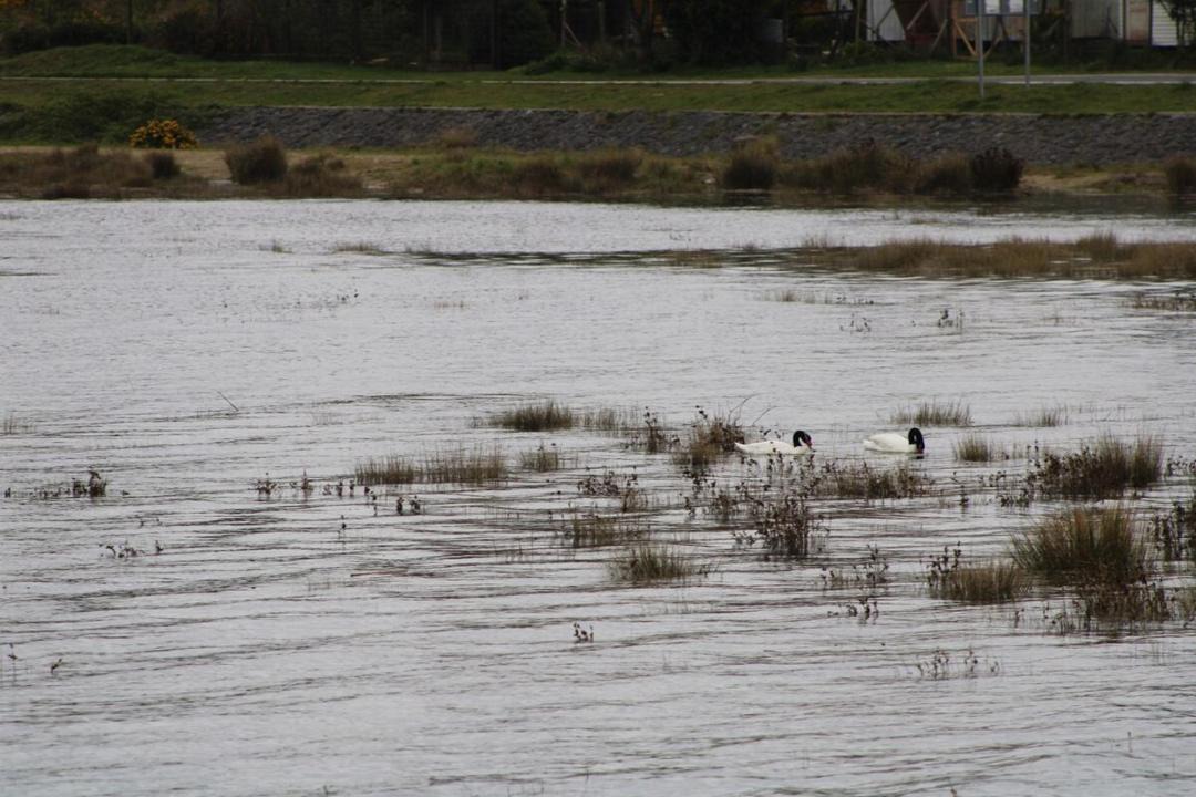 Photo of Others in Lenca