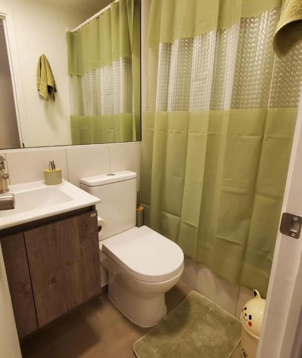 Photo of Bathroom in Villarrica