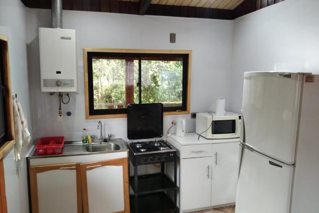 Photo of Kitchen in Valdivia