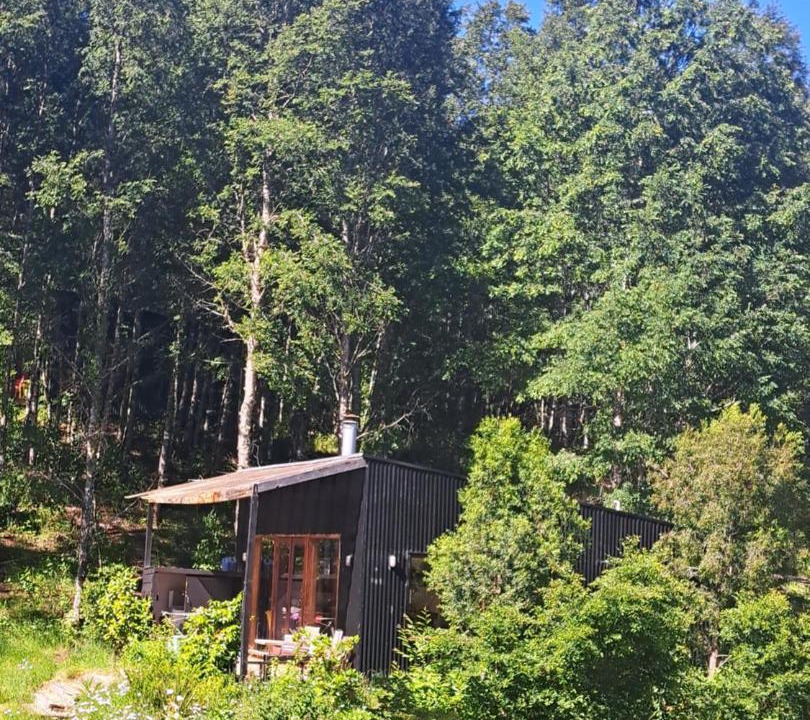 Photo of Others in Pucon