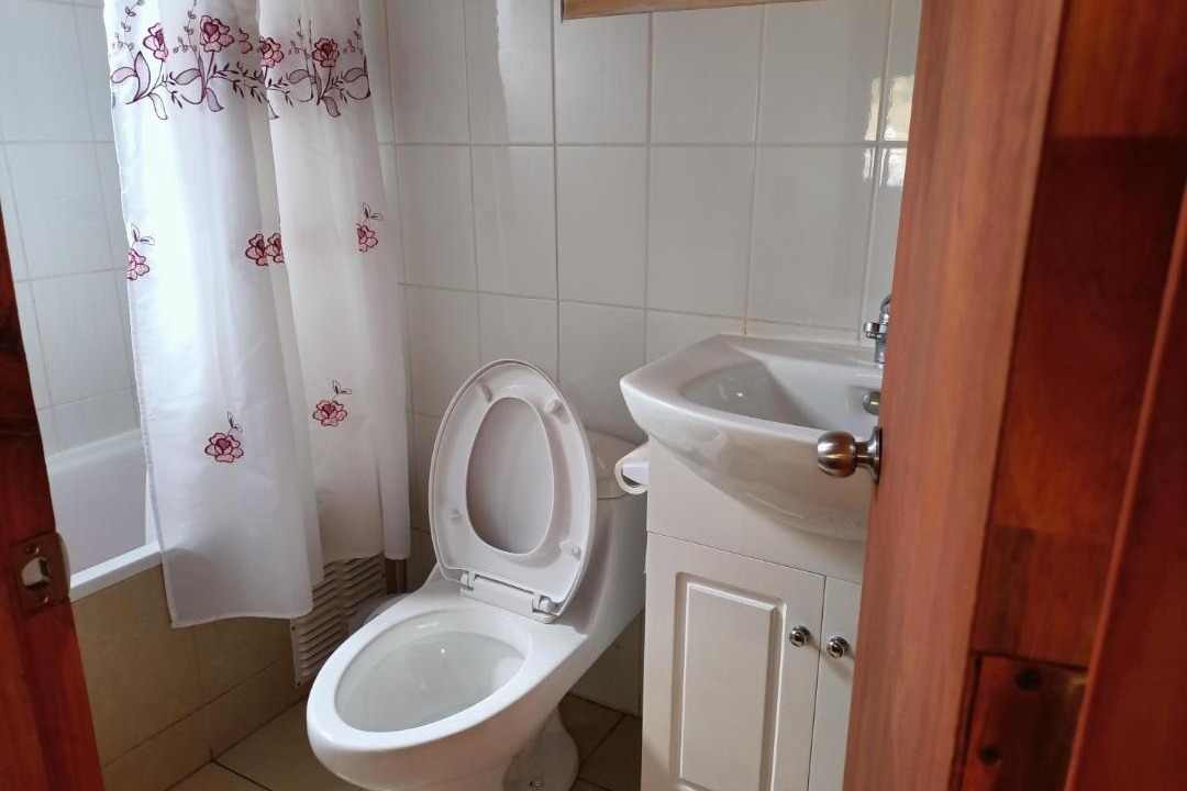 Photo of Bathroom in Caburgua