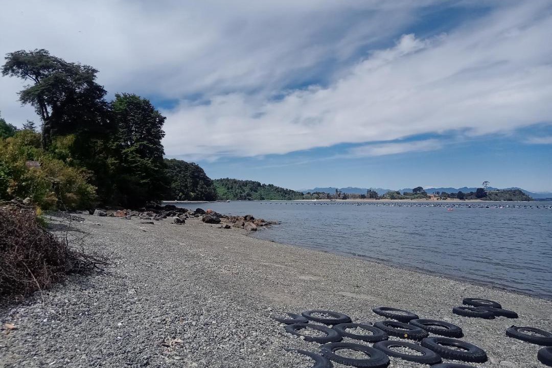 Photo of Others in Puerto Montt