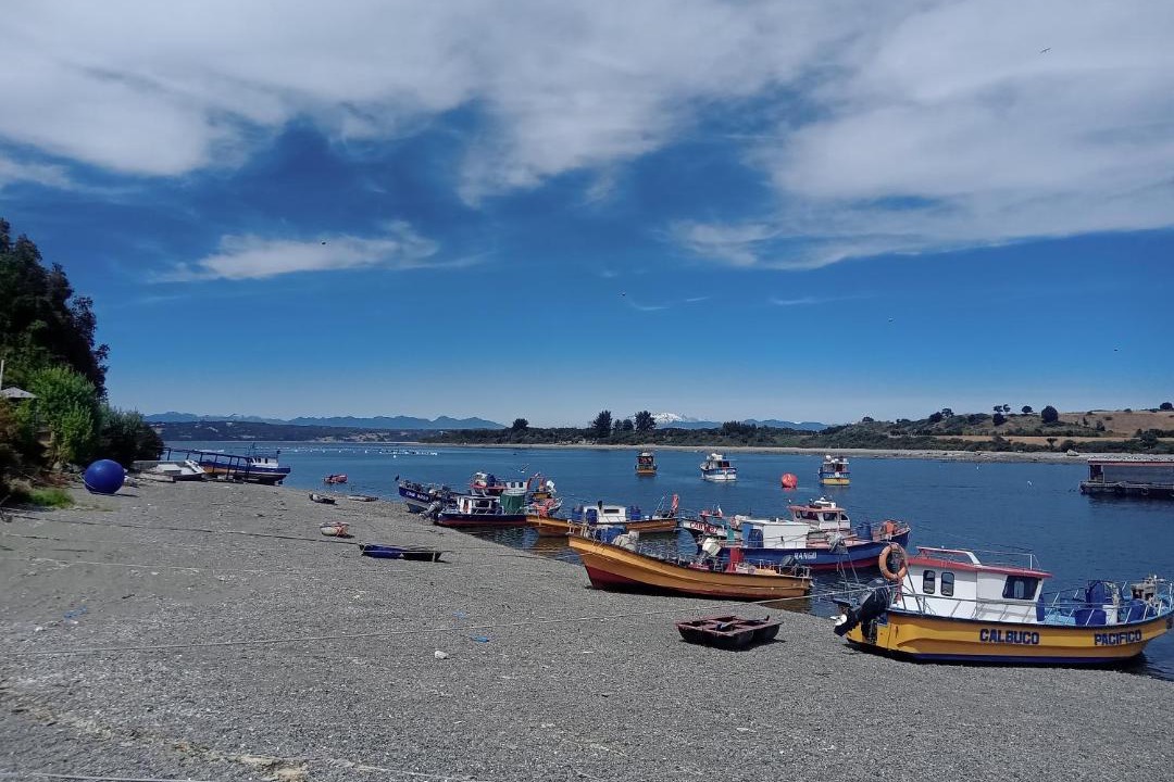 Photo of Others in Puerto Montt