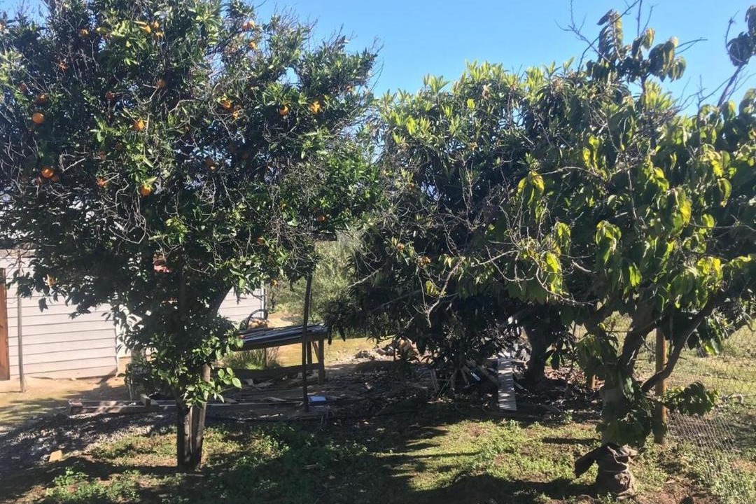 Photo of Outdoor in Olmue