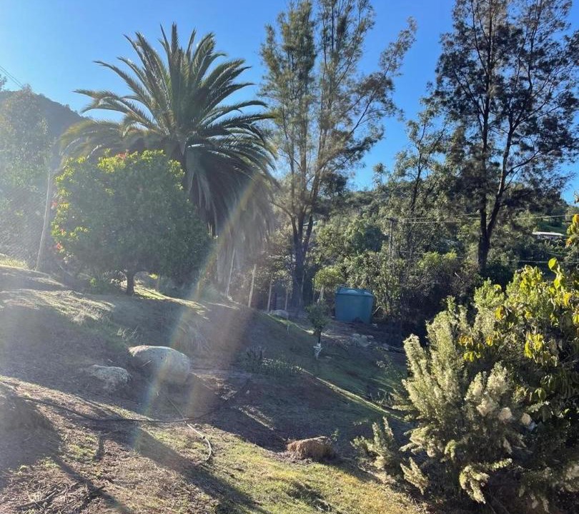 Photo of Outdoor in Olmue