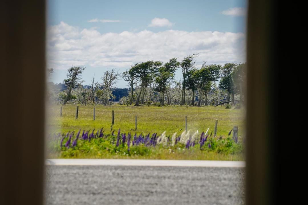 Photo of Others in Puerto Natales