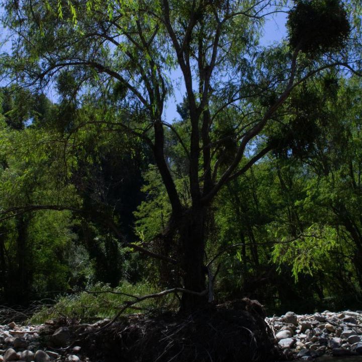 Photo of Others in Linares Province