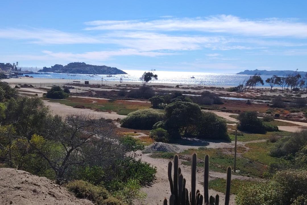 Photo of Others in Pichidangui