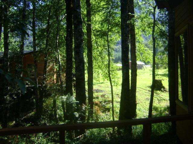Photo of Others in Neltume
