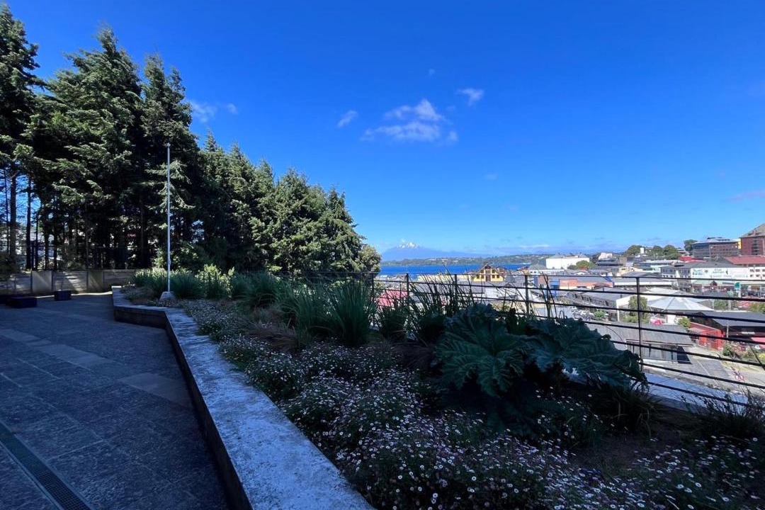 Photo of Others in Puerto Varas