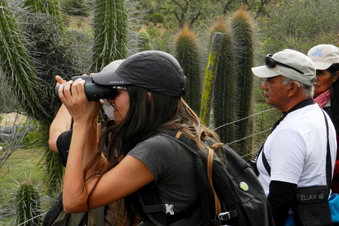 Photo of Others in Ovalle