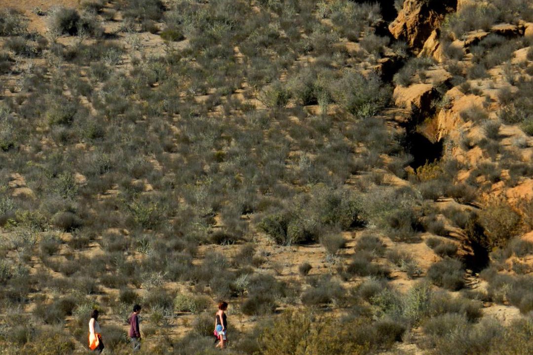 Photo of Others in Ovalle