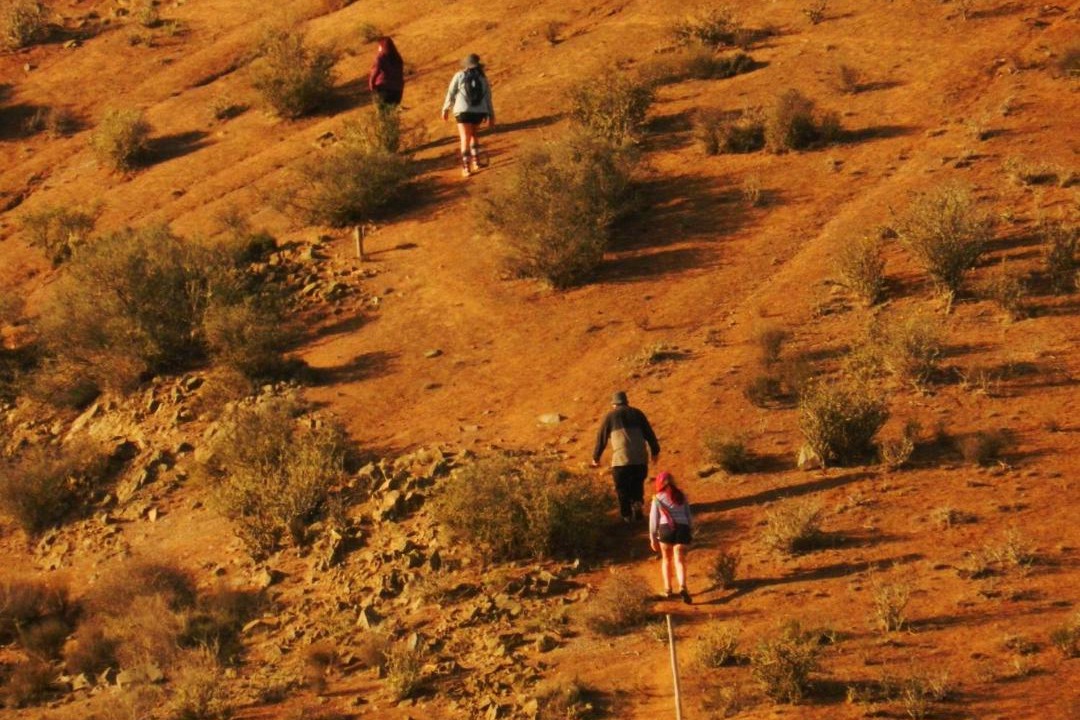 Photo of Others in Ovalle