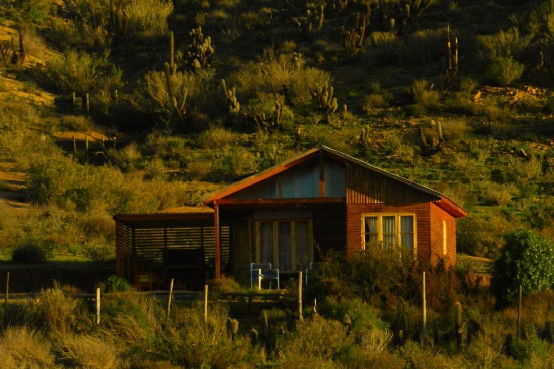 Photo of Others in Ovalle