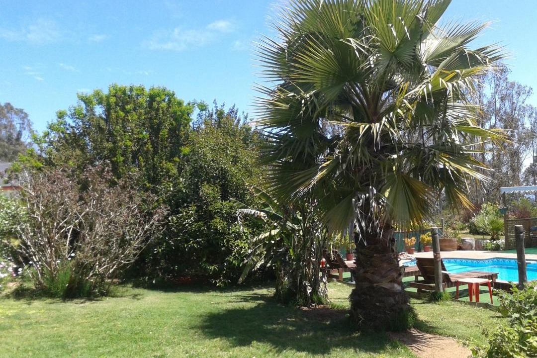 Photo of Others in Algarrobo