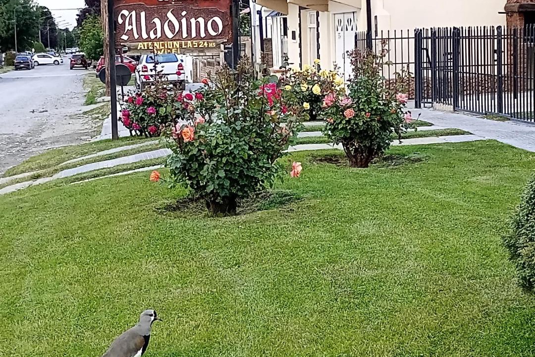 Photo of Others in Esquel
