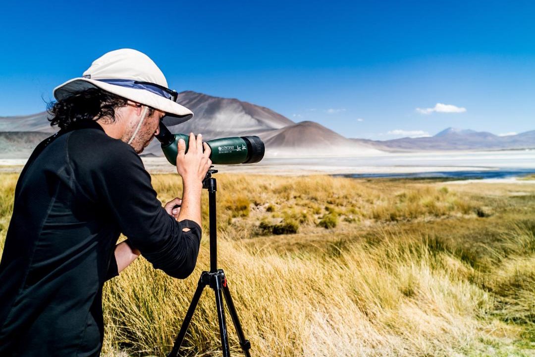 Photo of Others in San Pedro de Atacama