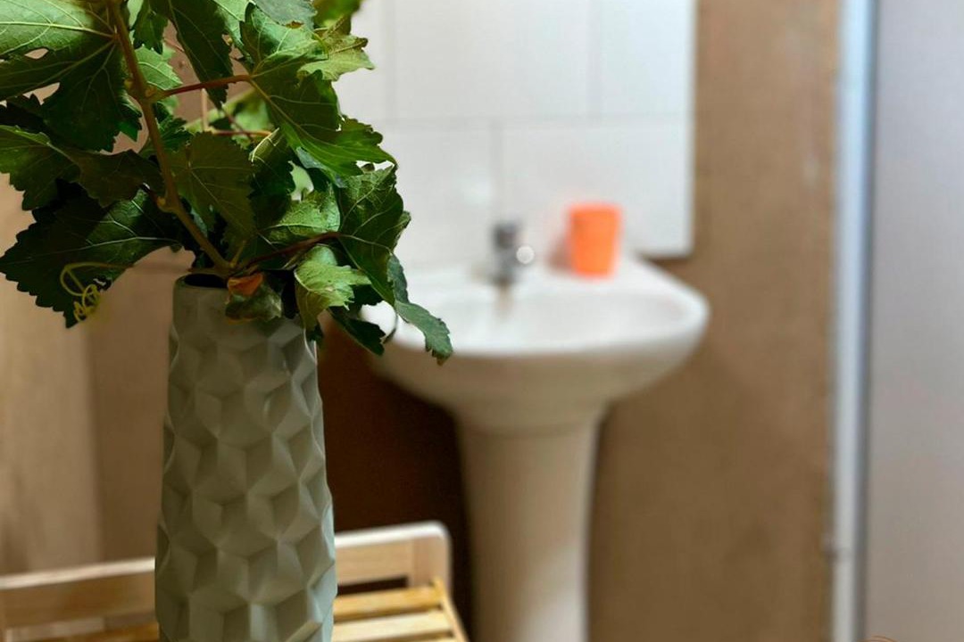Photo of Bathroom in Paihuano