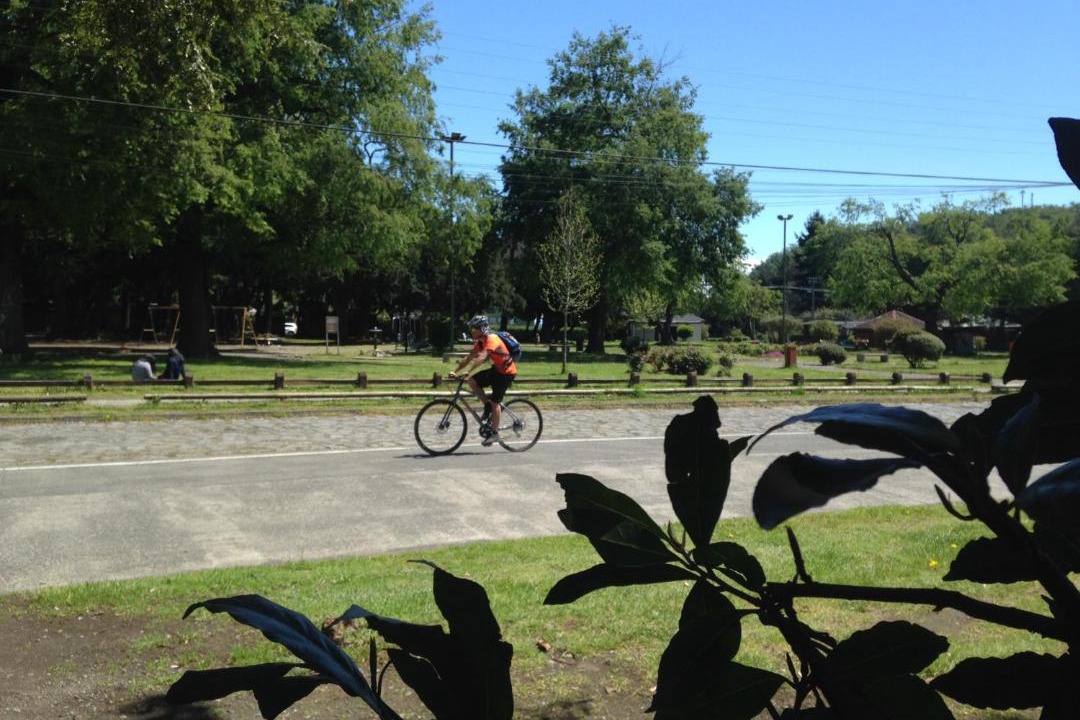 Photo of Others in Pucon