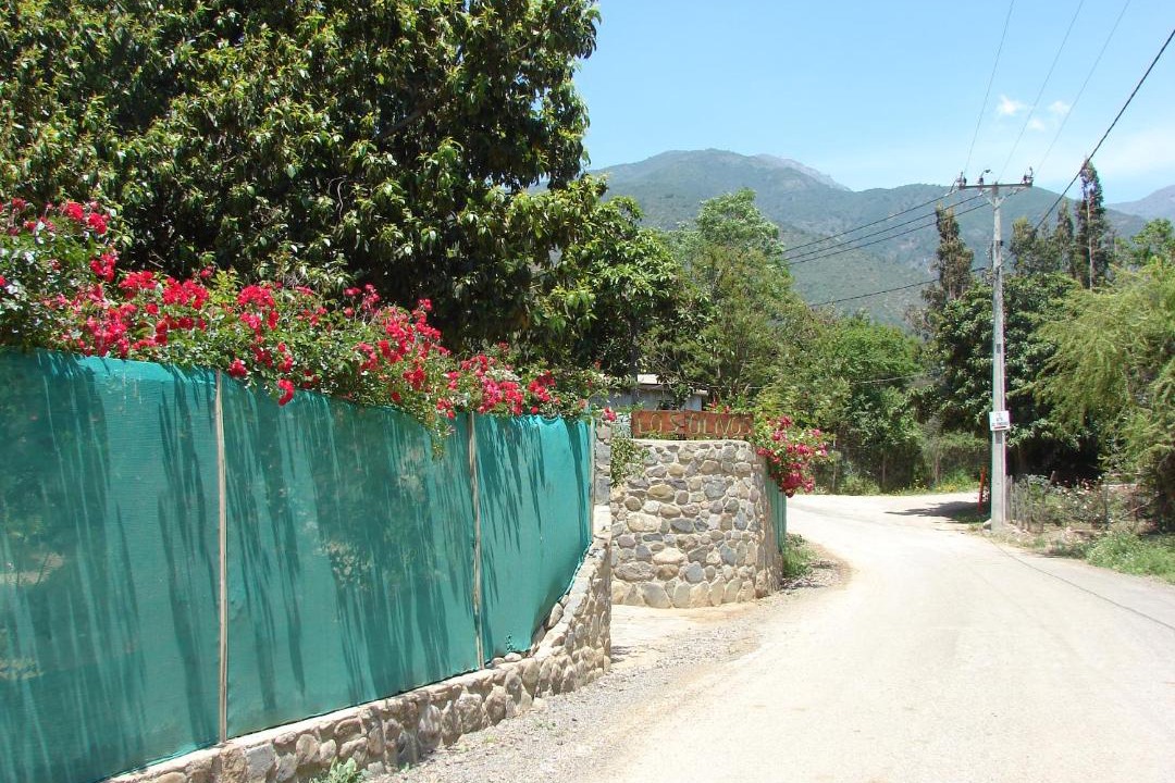 Photo of Outdoor in Olmue