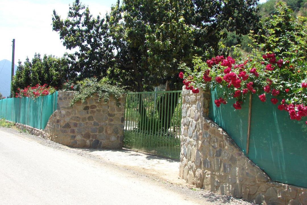 Photo of Outdoor in Olmue