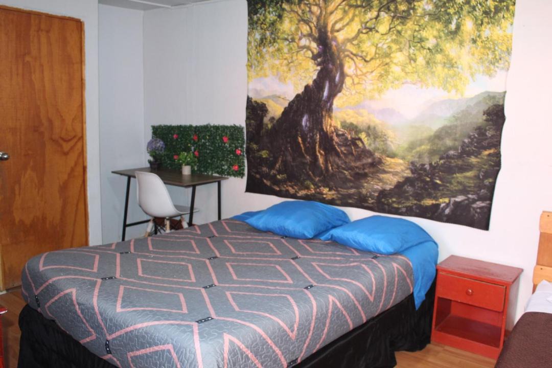Photo of Bedroom in Copiapo