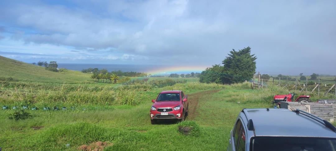 Photo of Others in Hanga Roa