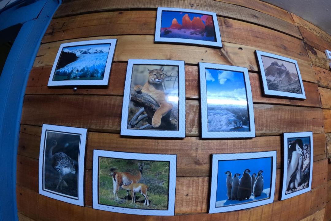 Photo of Others in Puerto Natales