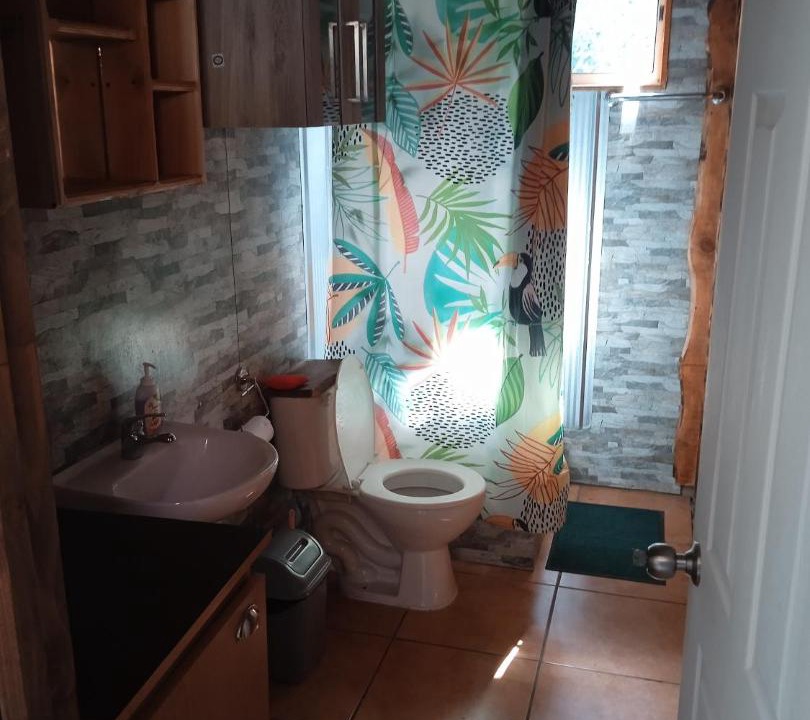 Photo of Bathroom in Pucon