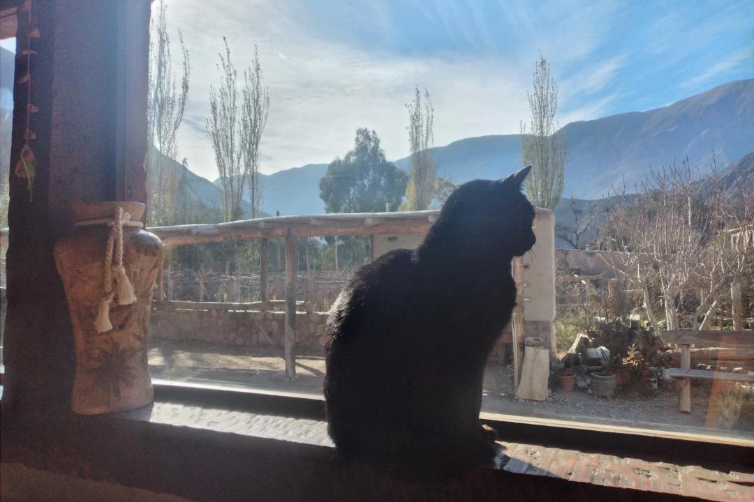 Photo of Others in Tilcara