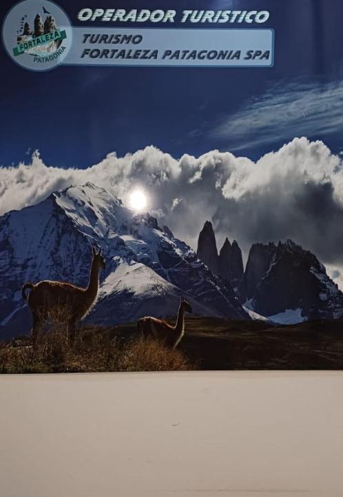 Photo of Others in Puerto Natales