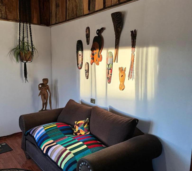 Photo of Others in Araucania Region