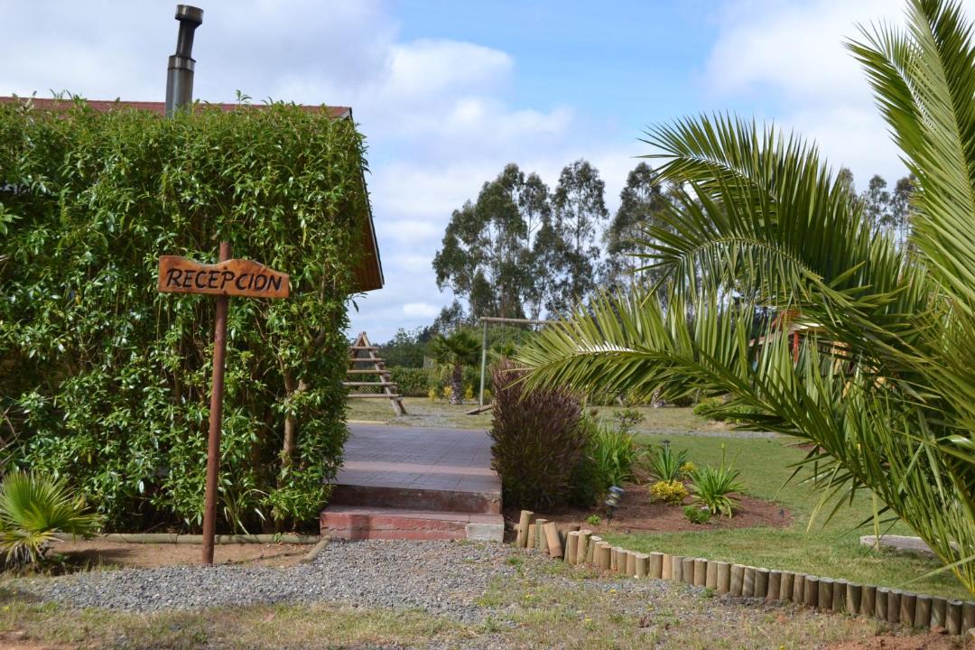 Photo of Others in Algarrobo