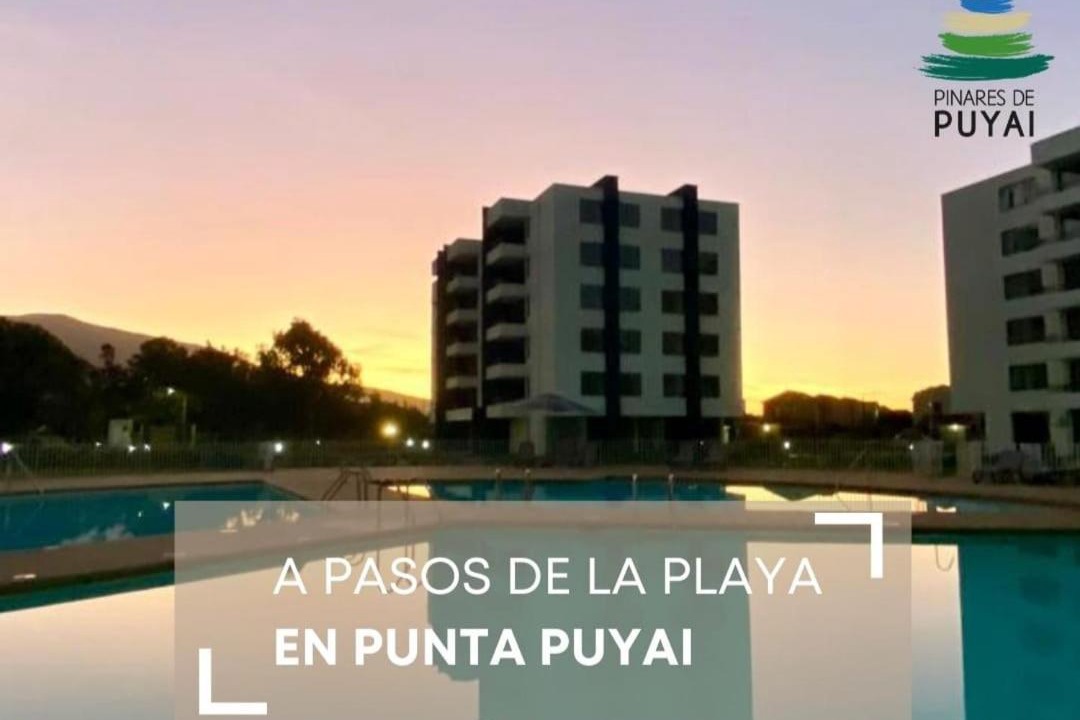 Photo of Others in Papudo