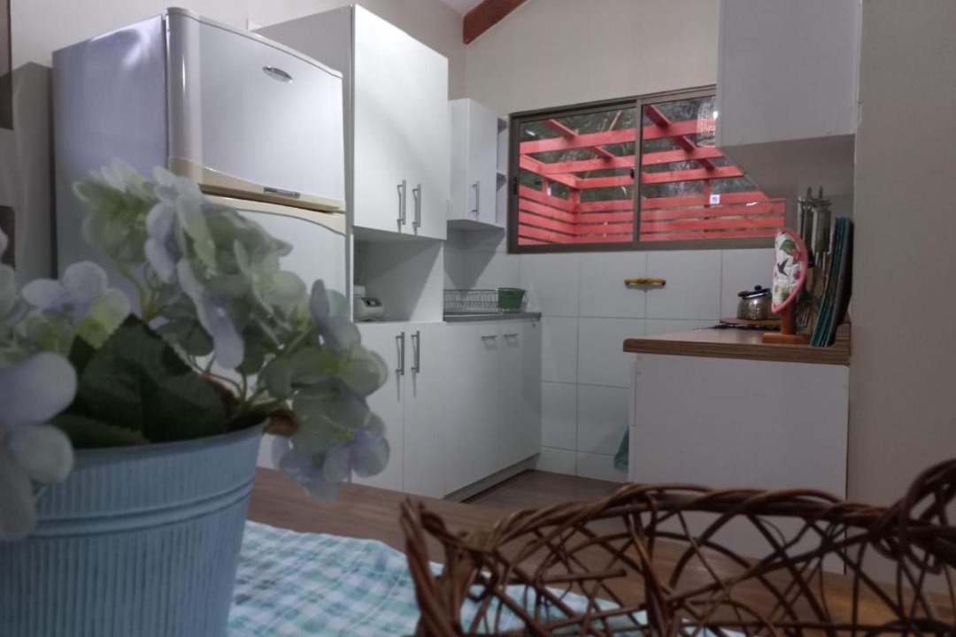 Photo of Kitchen in Vicuna